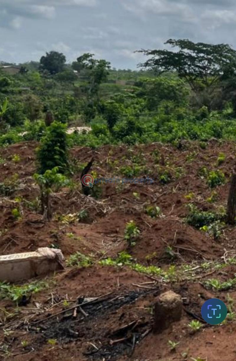 Mixed use Land For Sale Obosima Near Afor Obogwe And Oforola 🗺️ Owerri Imo - 3