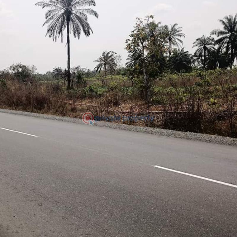 Mixed use Land For Sale Crystal City Estate Phase 2, Alesa Eleme, Portharcourt Eleme Port Harcourt Rivers - 2