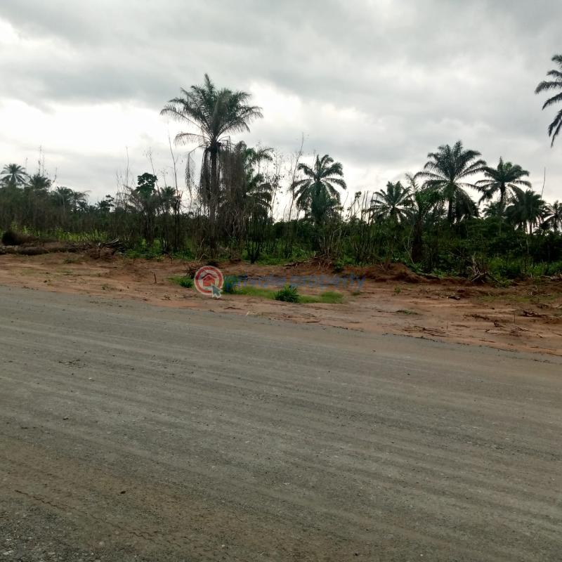 Mixed use Land For Sale Charisma Garden, Ogbor Hills Ovum Aba North, Abia  - 5