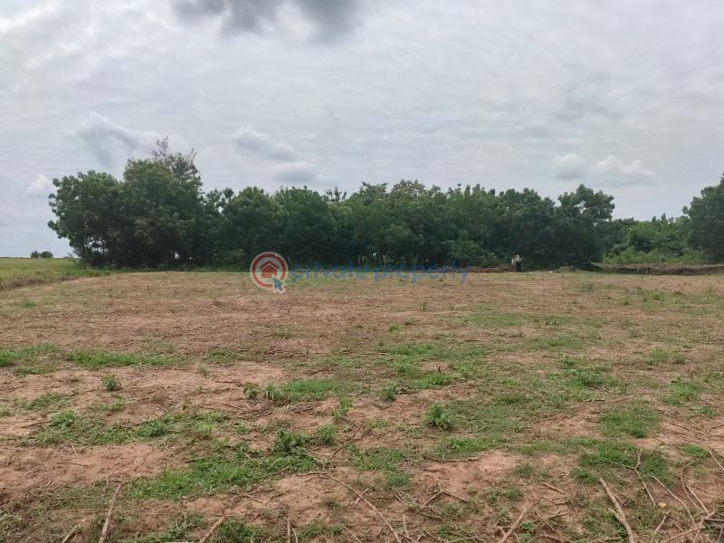 Mixed use Land For Sale Excel Garden Igbonla Town Epe Lagos - 2
