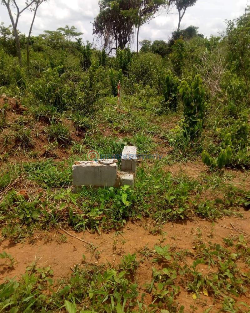 Mixed use Land For Sale Oyin Garden Estate Atere Agbowa Ikosi Ikorodu Lagos - 3