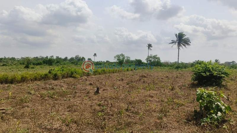 Mixed use Land For Sale Oyin Garden Estate Atere Agbowa Ikosi Ikorodu Lagos - 4