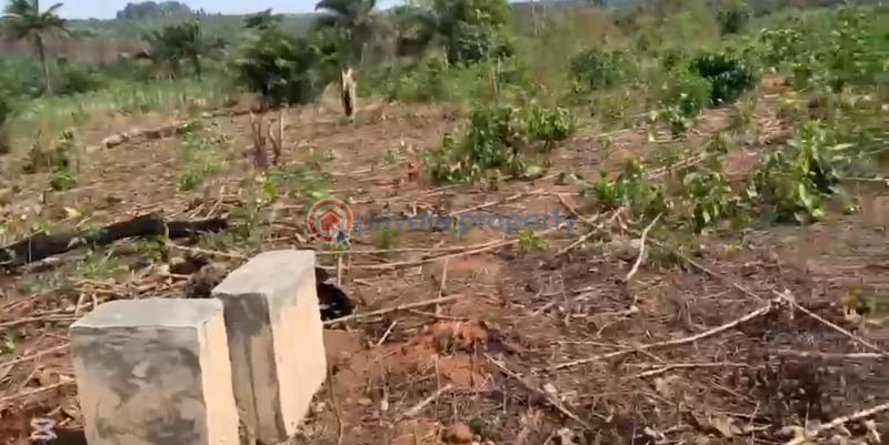 Mixed use Land For Sale *haven Brooks Classic Estate Jikwoyi Fct Jikwoyi Abuja Phase 4  - 1