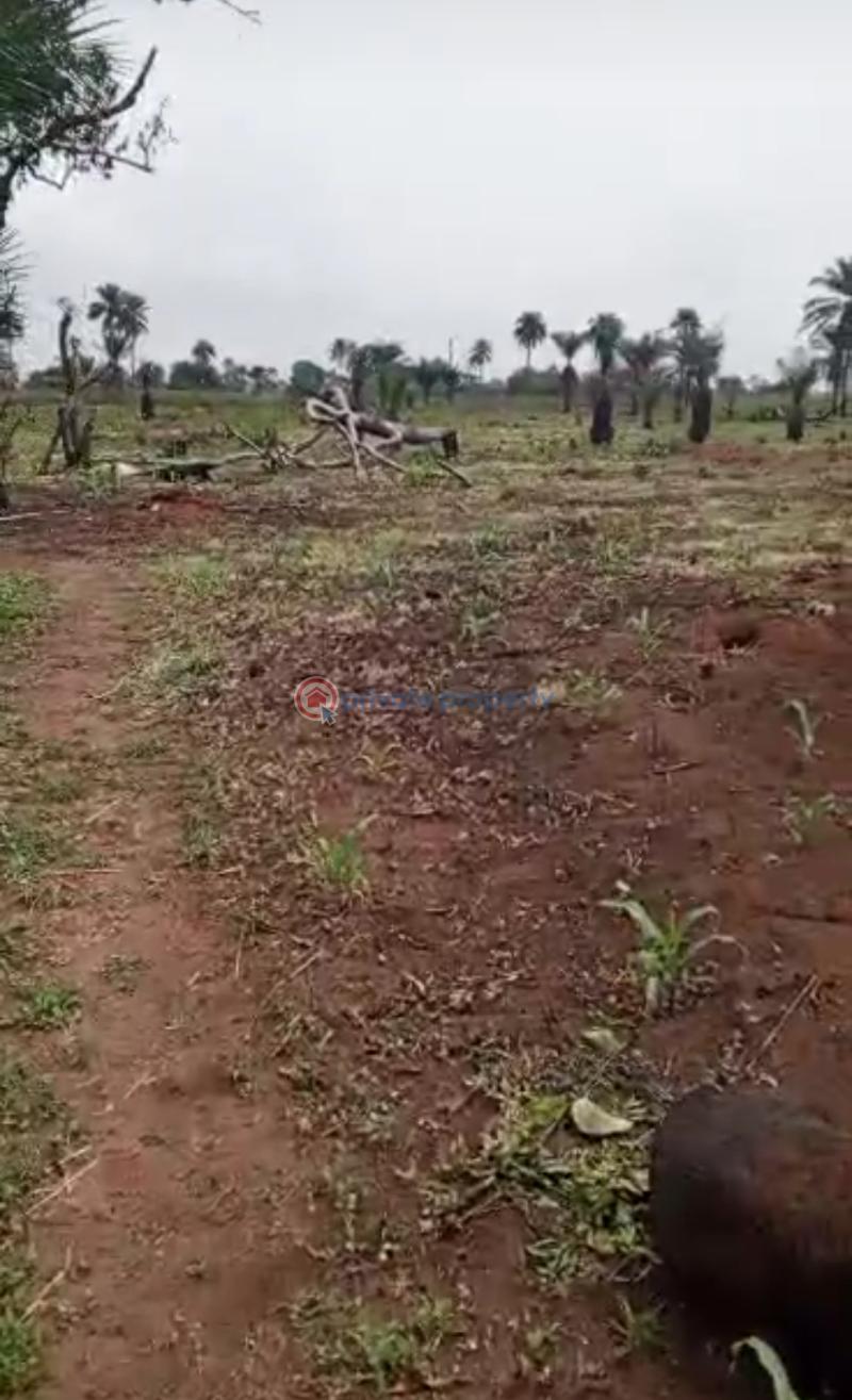 Mixed use Land For Sale Greenville Estate Umuokore Okuku Owerri Imo - 3