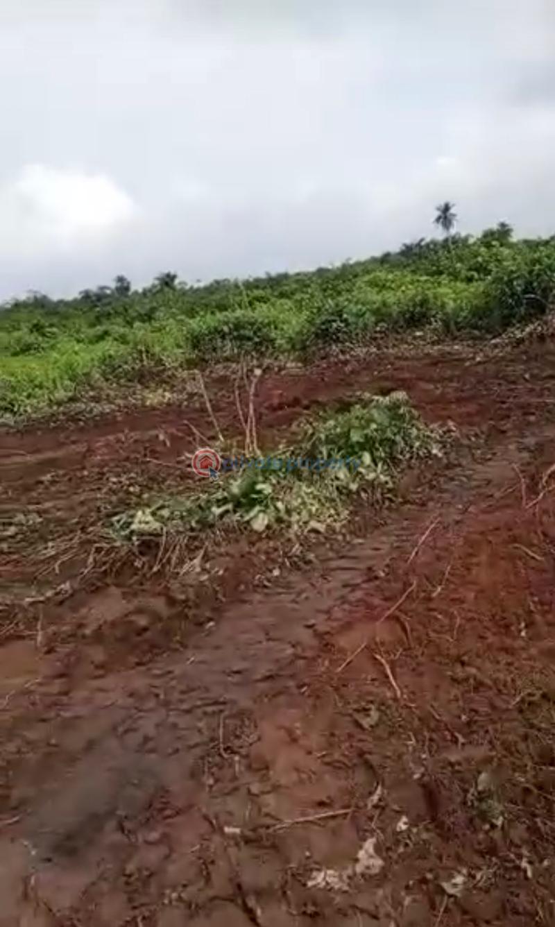 Mixed use Land For Sale Igboye Town Epe Lagos - 7