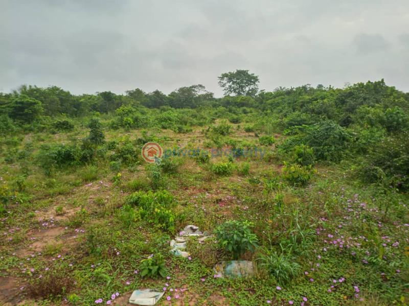 Mixed use Land For Sale Igbodo Etche Amala/etche Road, Near Zion Ministries Etche Rivers  - 1
