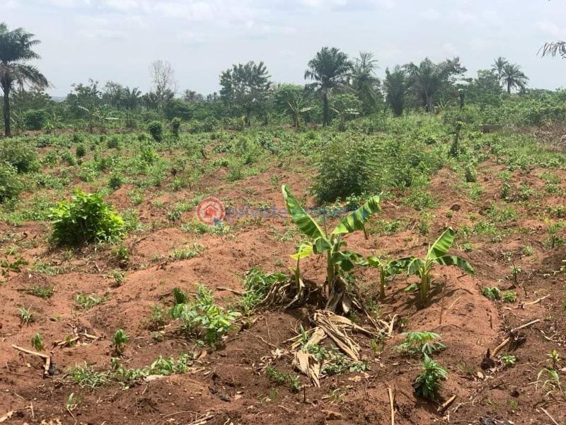 Mixed use Land For Sale Atlantic City 2.0 Estate ,behind Novare Mall Shoprite Monastery Road Sangotedo Lagos - 4