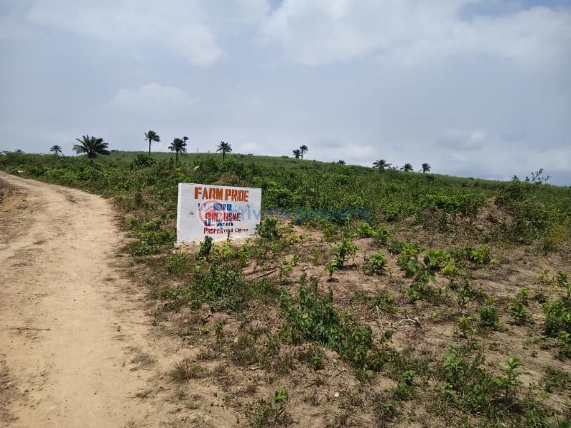 Commercial Land For Sale Isiwo Town Off Epe Ijebuode Ijebu Ogun - 10