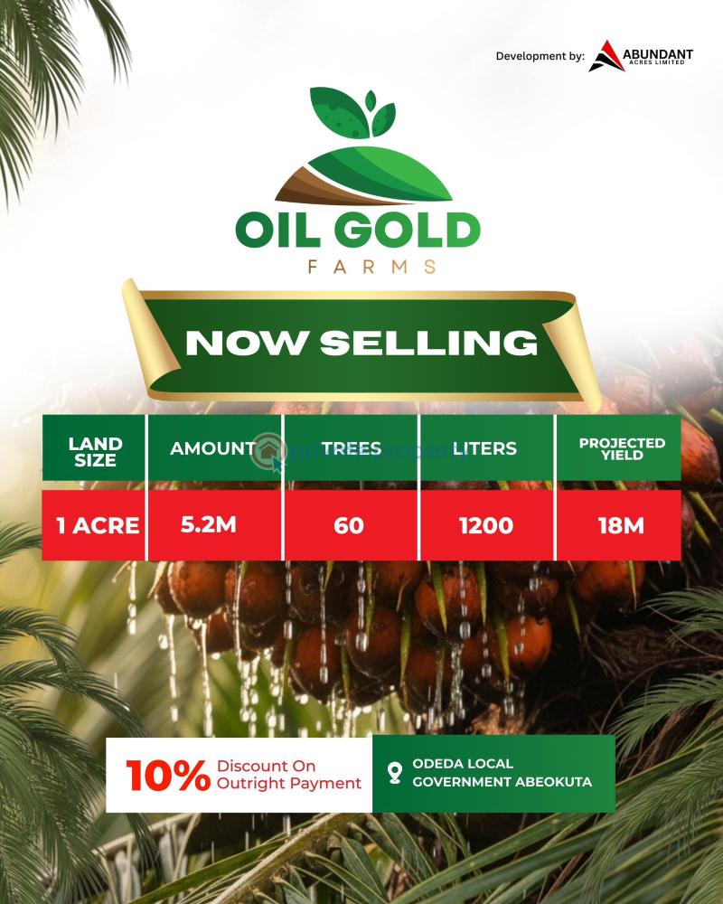 Commercial Land For Sale Odeda Town Ogun Ogun area  - 1