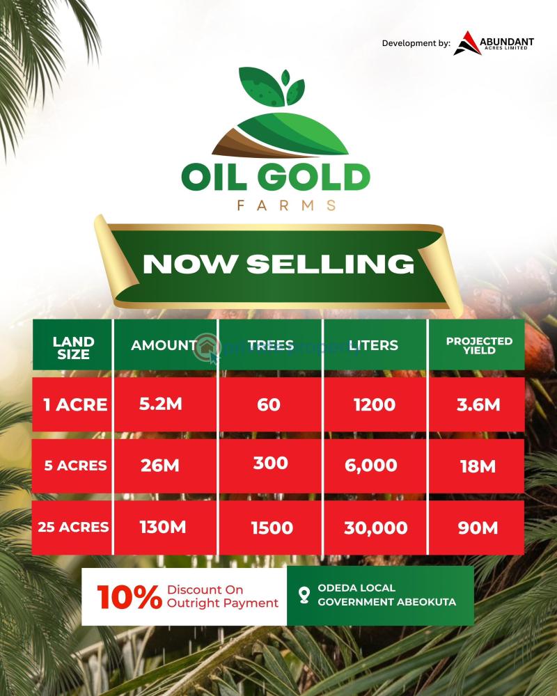 Commercial Land For Sale Odeda Town Ogun Ogun area  - 2