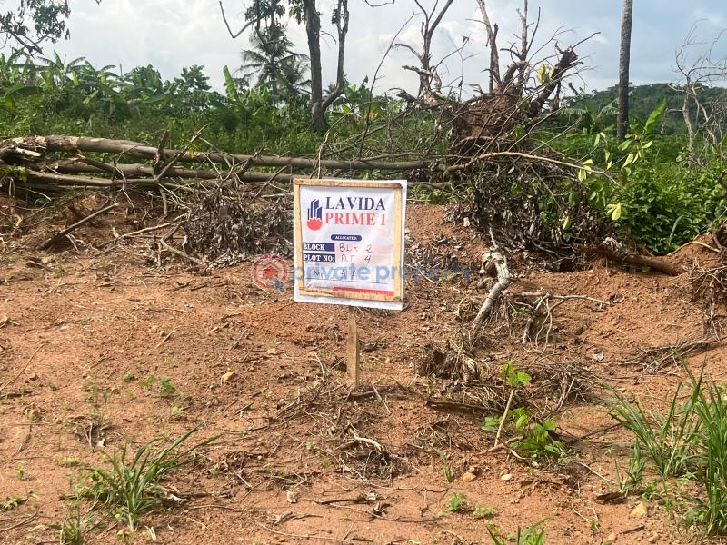 Mixed use Land For Sale Sycamore Estate Ndon Obot Idim, Ikot Otong Nsit Land, Nsit Ibom Akwa Ibom - 4