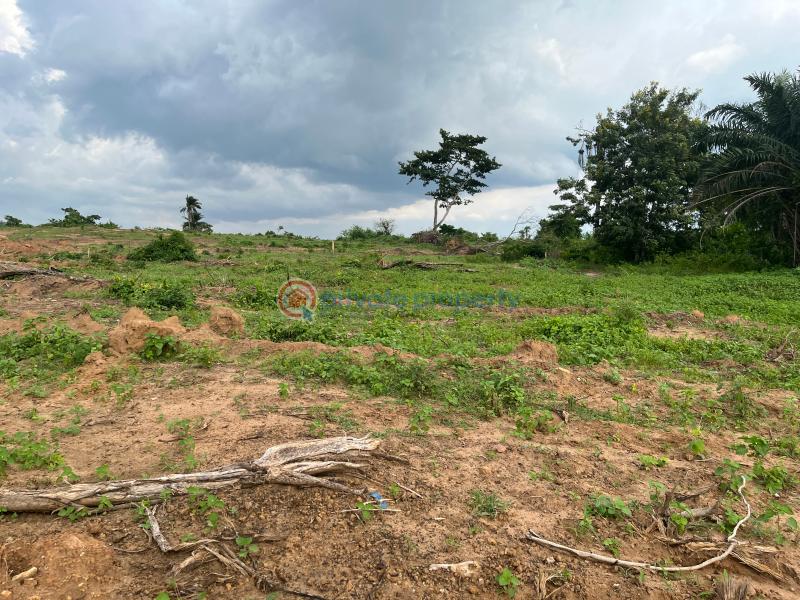 Mixed use Land For Sale Sycamore Estate Ndon Obot Idim, Ikot Otong Nsit Land, Nsit Ibom Akwa Ibom - 3