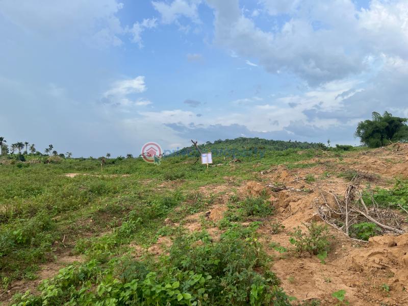 Mixed use Land For Sale Sycamore Estate Ndon Obot Idim, Ikot Otong Nsit Land, Nsit Ibom Akwa Ibom - 2