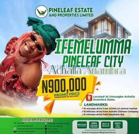 Mixed use Land For Sale Umuogbe Achalla Anambra Area  - 0