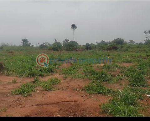 Land For Sale 💥rccg Camp 💥international Breweries 💥nestle Foods Plc 💥olam Plc 💥proposed Gold Refinery Mowe Ogun area  - 3