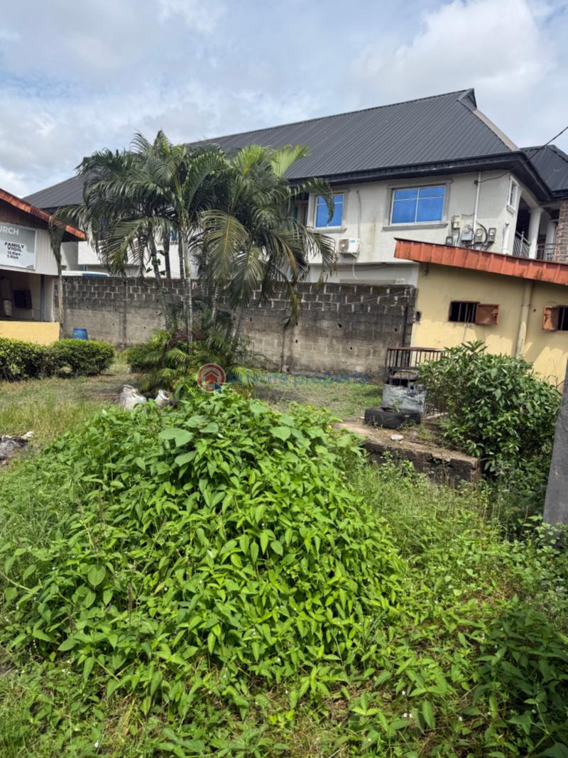 Residential Land For Sale Ago Palace Isolo Lagos - 2