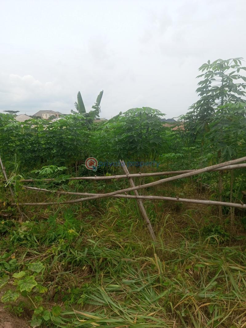 Residential Land For Sale Gbarinmole Ofada Ogun area  - 2