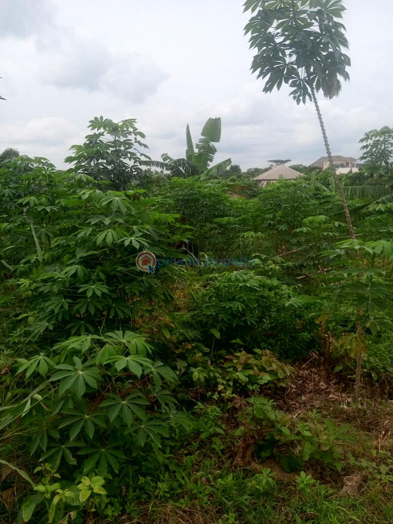 Residential Land For Sale Gbarinmole Ofada Ogun area  - 1
