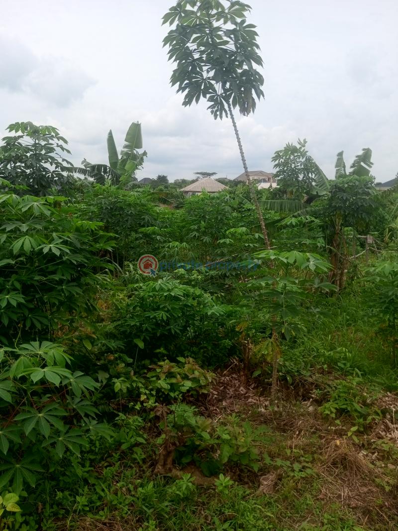 Residential Land For Sale Gbarinmole Ofada Ogun area  - 0