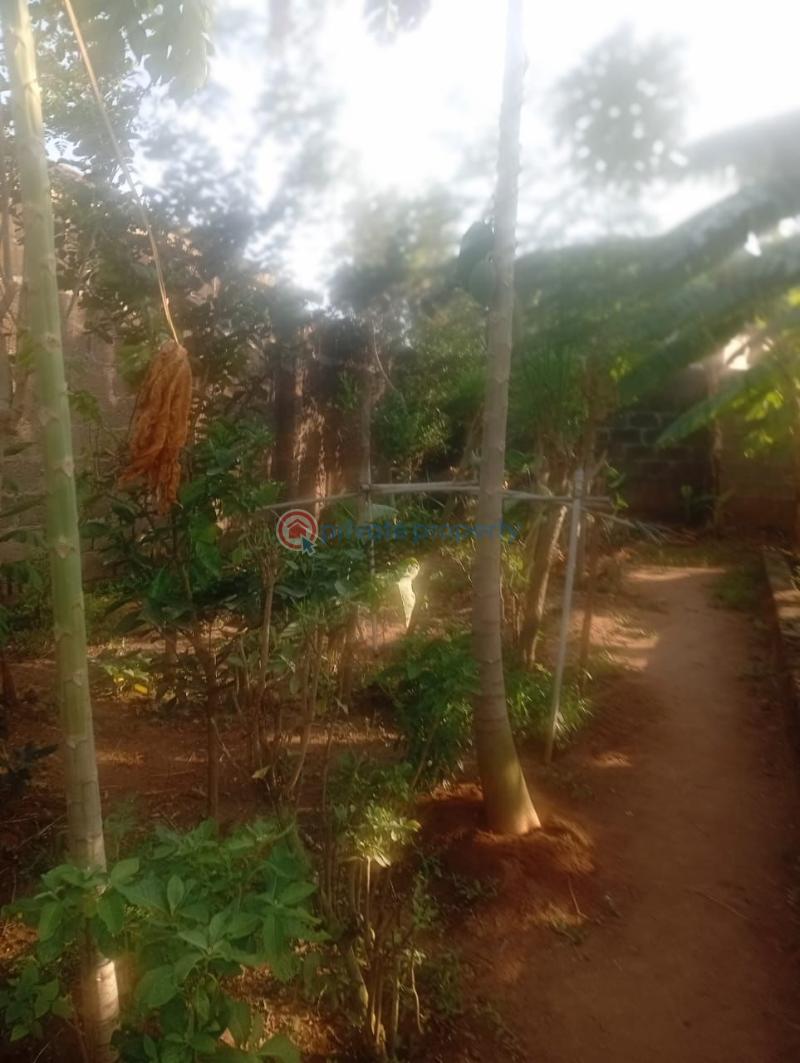 Land For Sale Agbelekale Abule Egba Lagos - 1