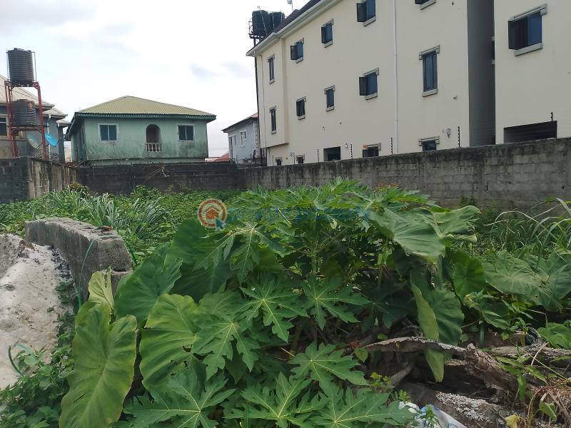 Residential Land For Sale Salvation Estate, Owode, Langbasa Road Ajah Langbasa Ajah Lagos - 3