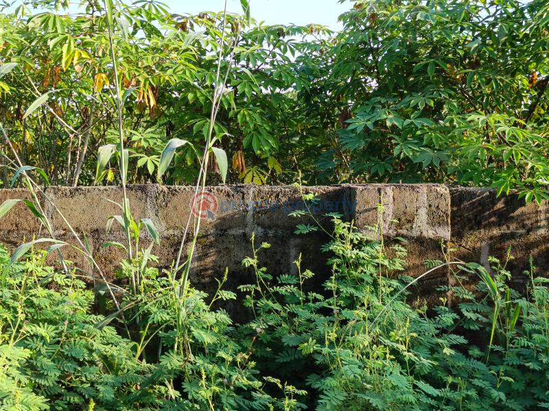 Residential Land For Sale Amakabo Avenue In Avu Off Port Harcourt Road By Umuguma Worldbank Owerri Imo - 8
