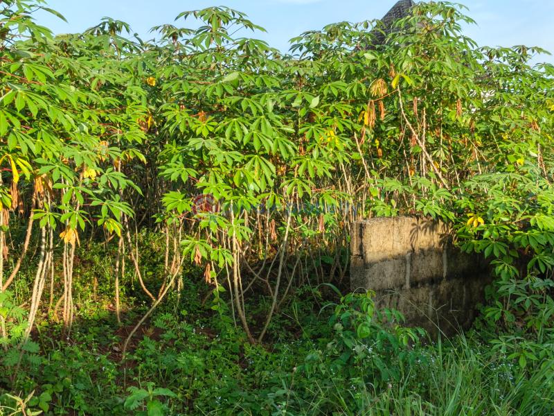 Residential Land For Sale Amakabo Avenue In Avu Off Port Harcourt Road By Umuguma Worldbank Owerri Imo - 7