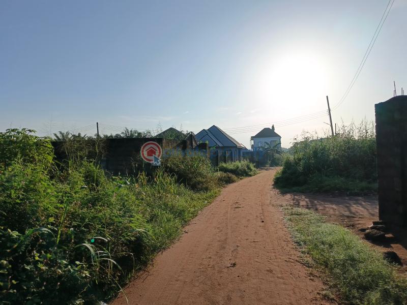 Residential Land For Sale Amakabo Avenue In Avu Off Port Harcourt Road By Umuguma Worldbank Owerri Imo - 0