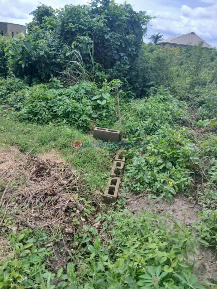 Residential Land For Sale Ofada Mowe Mokoloki Obafemi Owode Ogun - 7