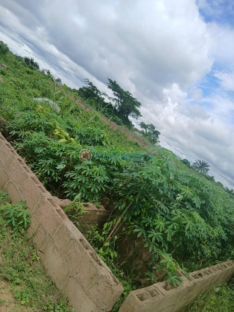 Residential Land For Sale Ofada Mowe Mokoloki Obafemi Owode Ogun - 0