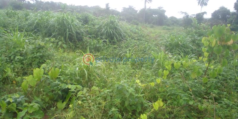 Residential Land For Sale Epe Toll Gate ✓yaba Tech Epe Campus ✓lekki International Airport ✓epe Resort And Spar ✓lagos State Food Hub And Logistics Center Epe Lagos - 5