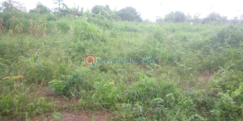 Residential Land For Sale Epe Toll Gate ✓yaba Tech Epe Campus ✓lekki International Airport ✓epe Resort And Spar ✓lagos State Food Hub And Logistics Center Epe Lagos - 4