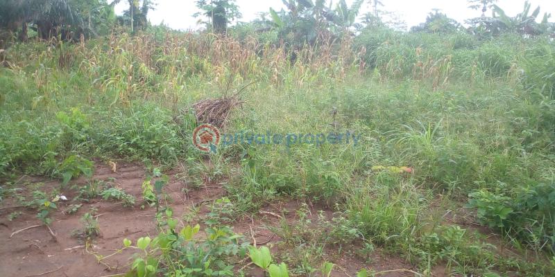 Residential Land For Sale Epe Toll Gate ✓yaba Tech Epe Campus ✓lekki International Airport ✓epe Resort And Spar ✓lagos State Food Hub And Logistics Center Epe Lagos - 3