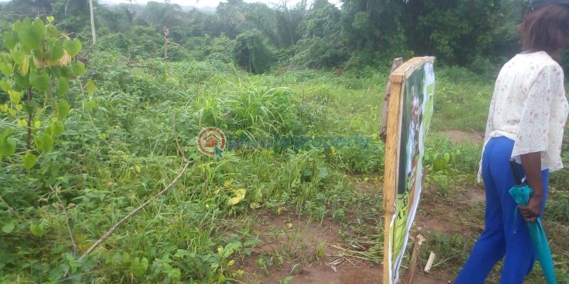 Residential Land For Sale Epe Toll Gate ✓yaba Tech Epe Campus ✓lekki International Airport ✓epe Resort And Spar ✓lagos State Food Hub And Logistics Center Epe Lagos - 2