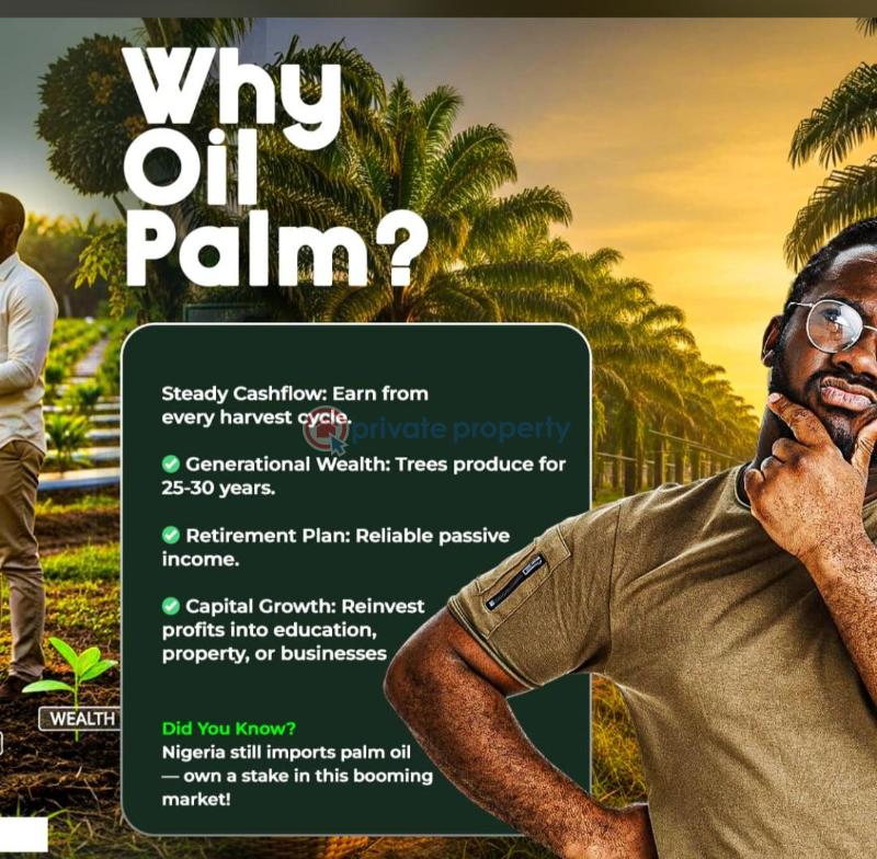 Residential Land For Sale Harvest Groove Palm Oil Located At Ayepe, Odogbolu Odogbolu Ogun - 3