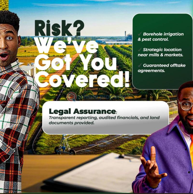 Residential Land For Sale Harvest Groove Palm Oil Located At Ayepe, Odogbolu Odogbolu Ogun - 2