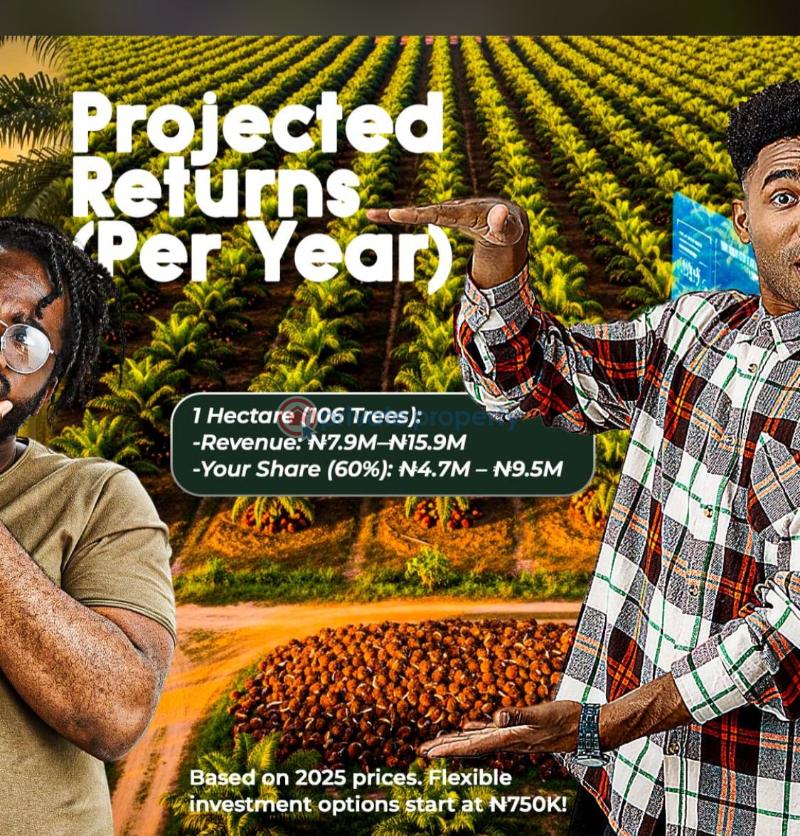 Residential Land For Sale Harvest Groove Palm Oil Located At Ayepe, Odogbolu Odogbolu Ogun - 4