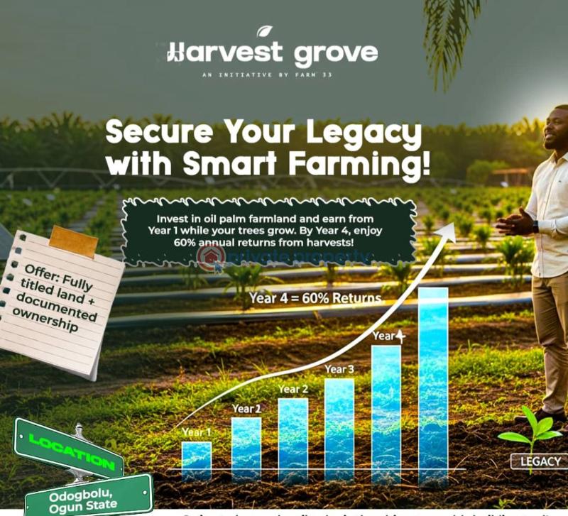 Residential Land For Sale Harvest Groove Palm Oil Located At Ayepe, Odogbolu Odogbolu Ogun - 5