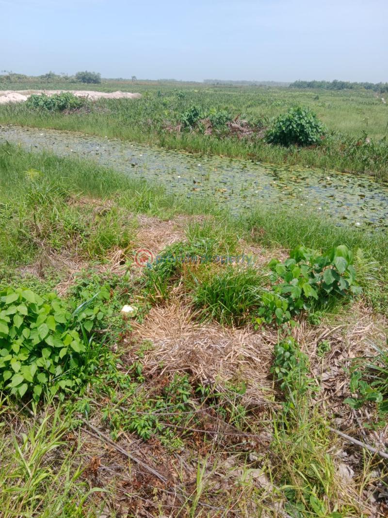 Residential Land For Sale Lekki Epe Express Way, Dangote Refinery, Lekki Deep Sea Port, Eleko Beach La Campaigne Tropicana Ibeju-Lekki Lagos