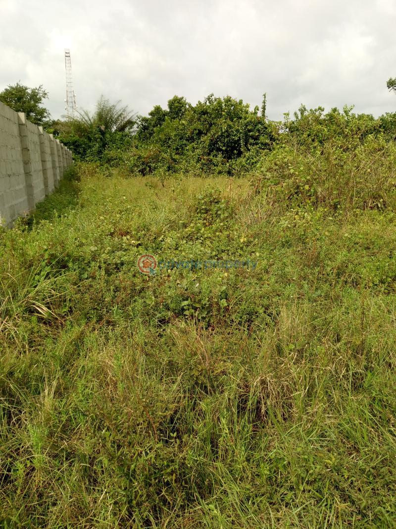 Residential Land For Sale Novare Shopping Mall, Lufasi Nature Park, Caleb British International School, Haven Residence Eputu Ibeju-Lekki Lagos