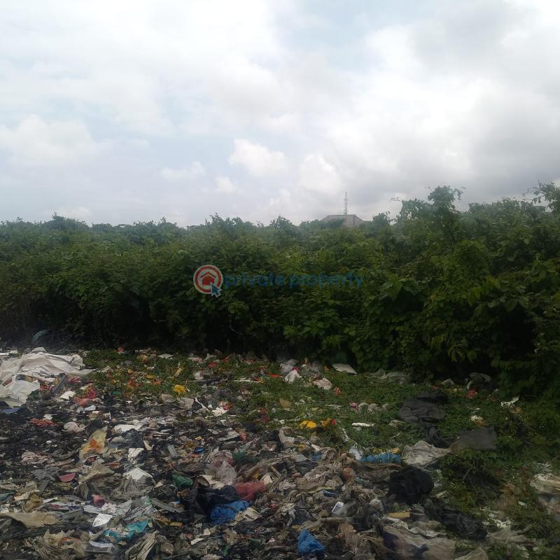Hectares of land up for sale ( 30000 sqm and 40000sqm) - 1 Commercial Property For Sale Orile  Lagos - 1