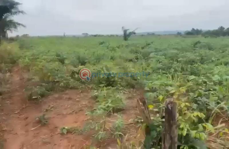 Commercial Land For Sale Onidundu Mokoloki Obafemi Owode Ogun - 6