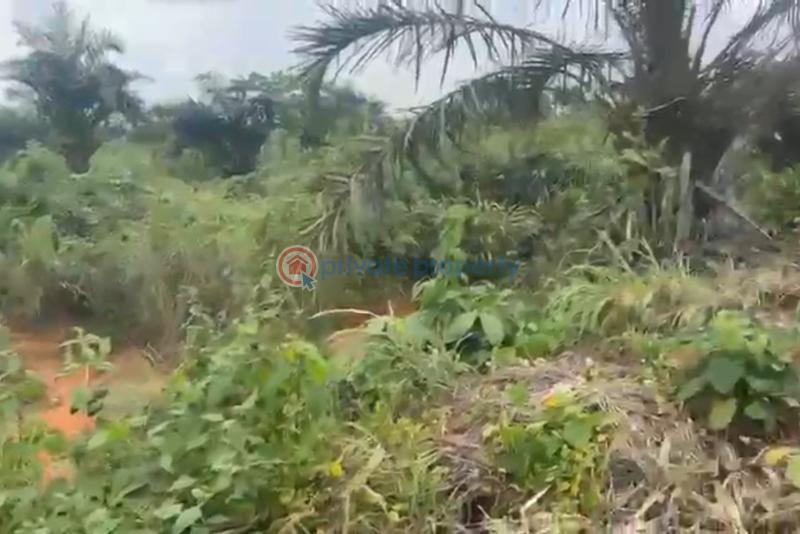 Commercial Land For Sale Onidundu Mokoloki Obafemi Owode Ogun - 1