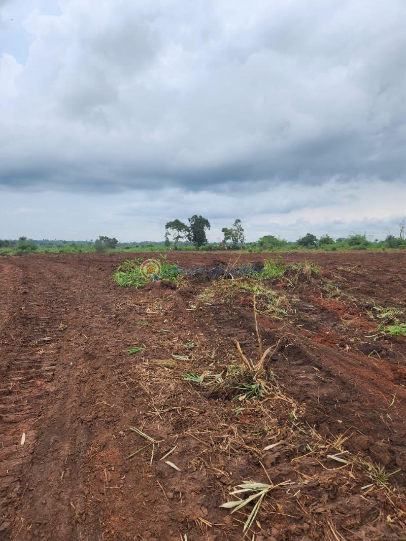 Commercial Land For Sale Farm City Isiwo Ogun State Ogun Ogun area 
