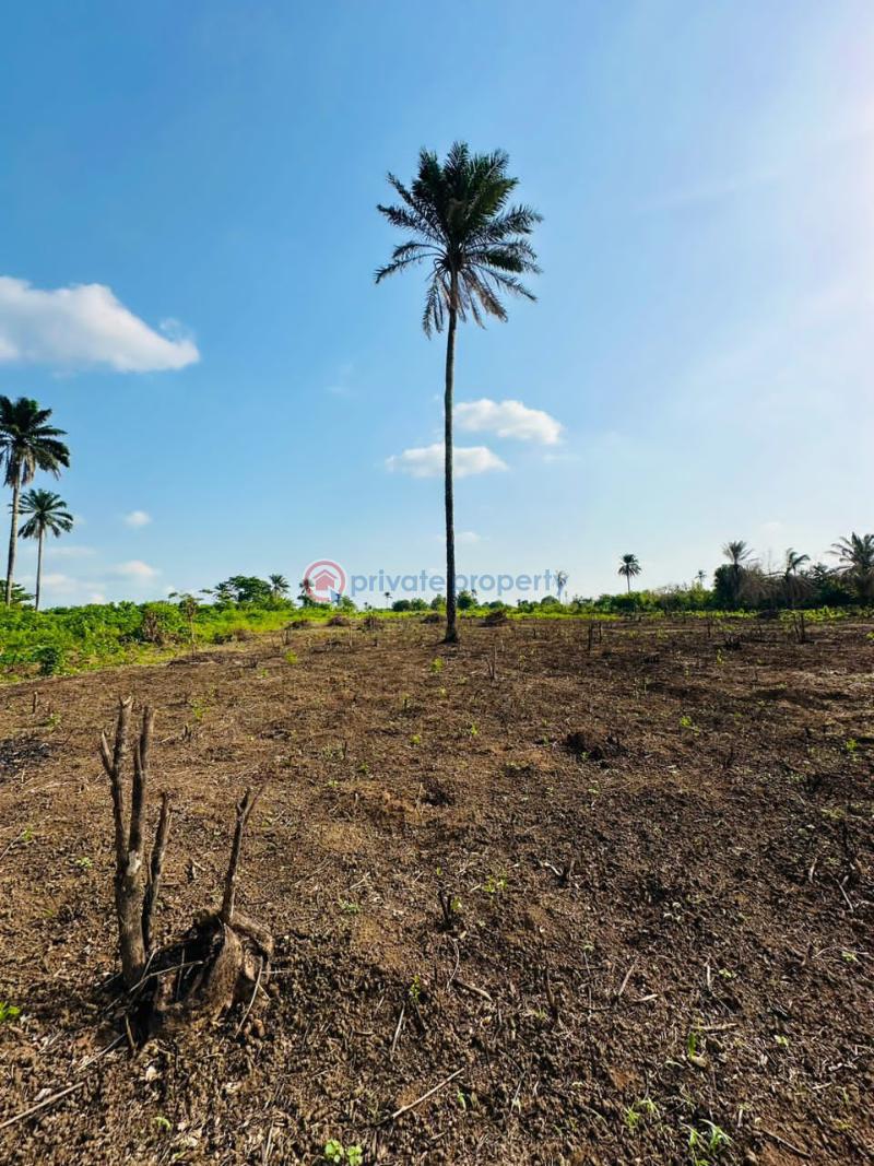 For sale Land Kobape Abeokuta Ogun (PID 8PBSEL) Private Property