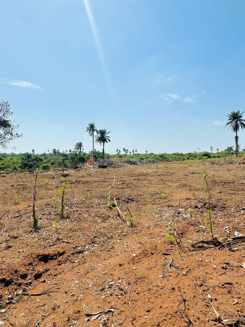 For sale Land Kobape Abeokuta Ogun (PID 8PBSEL) Private Property