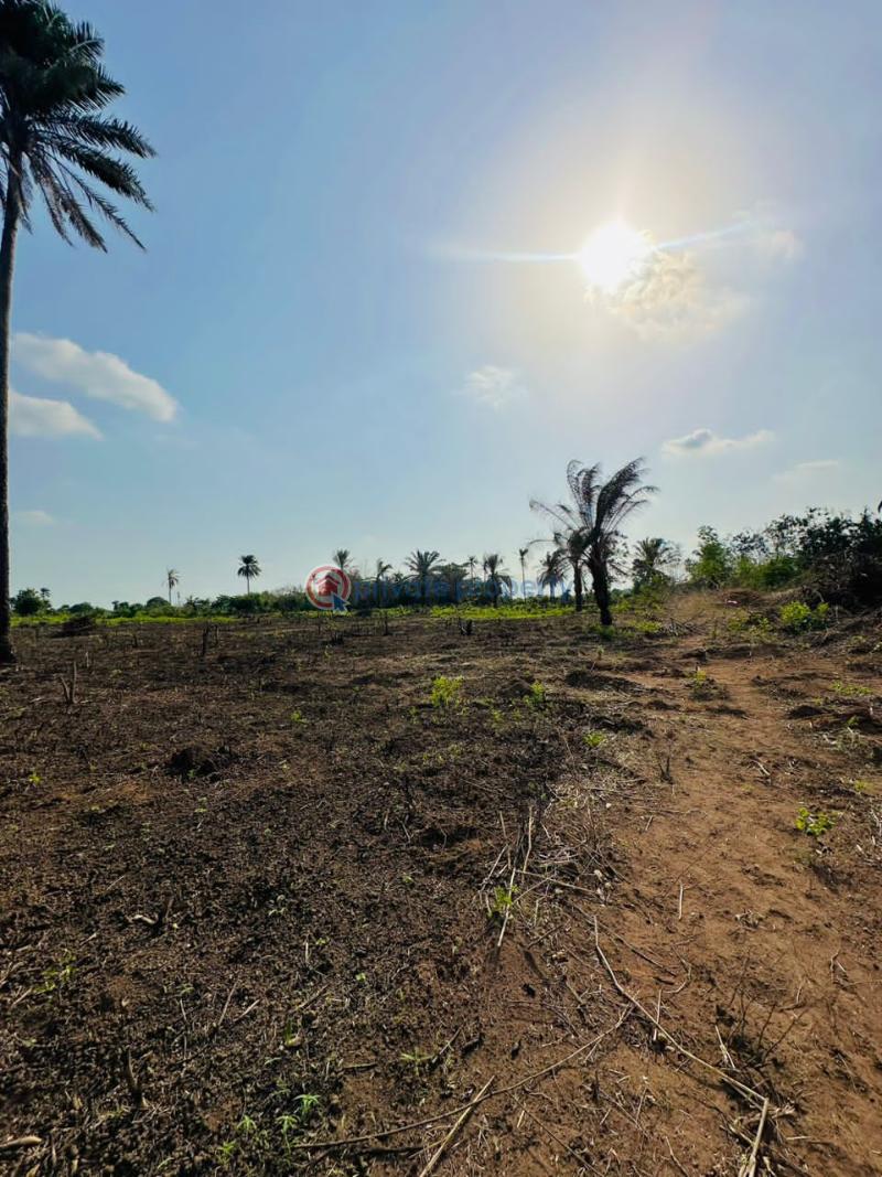 For sale Land Kobape Abeokuta Ogun (PID 8PBSEL) Private Property