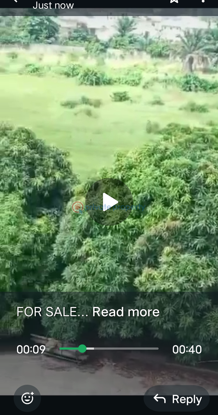 Land For Sale Awuwo Ododin Amuwo Odofin Lagos