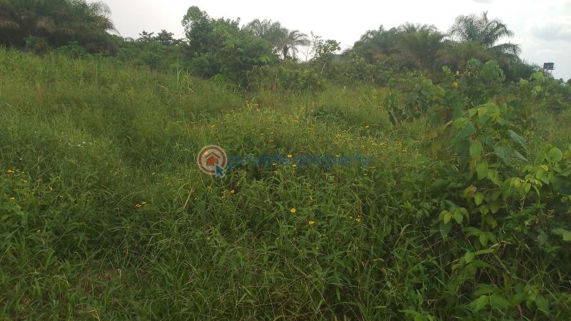 Mixed use Land For Sale Behind Kpansia Market, Off Ayalla Hotels Annex, Kpansia, Yenagoa, Bayelsa State. Yenegoa Bayelsa - 0