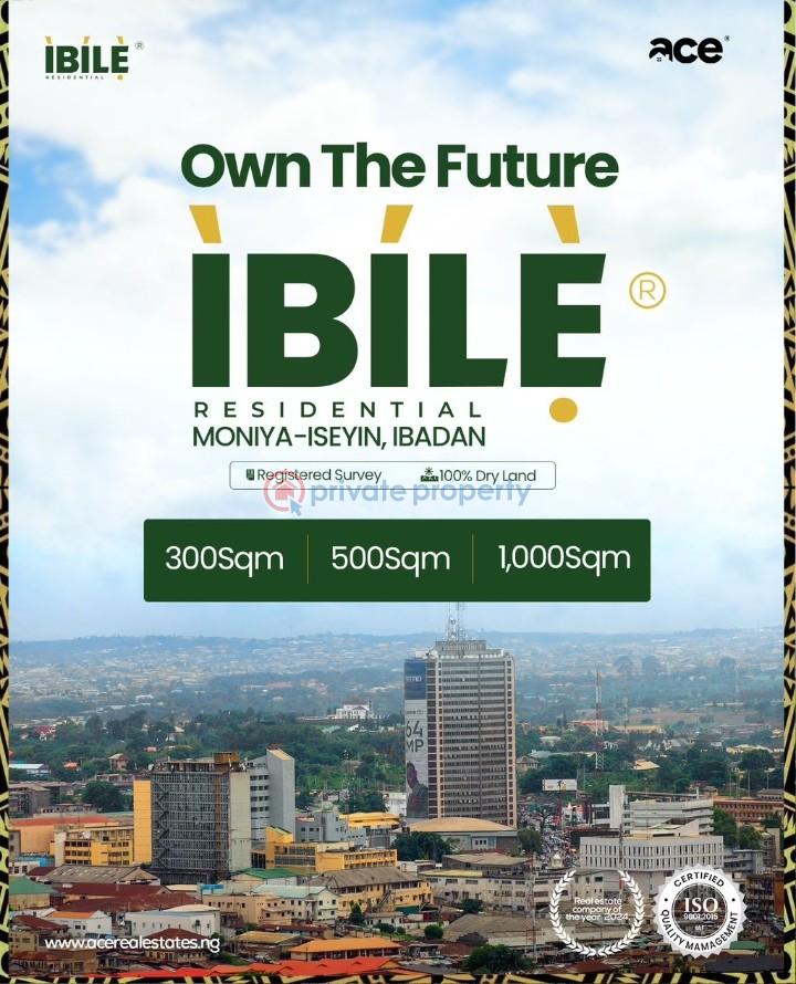 Residential Land For Sale Moniya Ibadan Oyo - 4